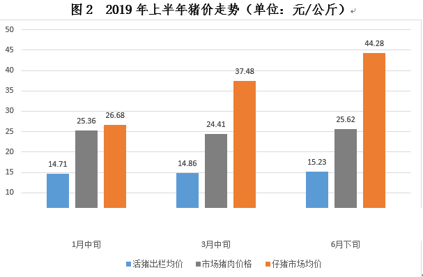 2019年上半年经济形势总量_认清形势放弃幻想图片(2)