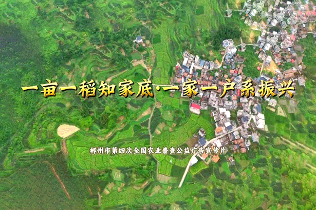 乡里湘音话农普|郴州四农普公益宣传片《一亩一稻知家底 一家一户系振兴》